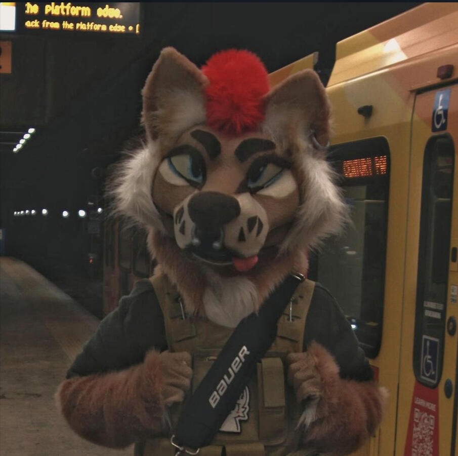 CLIENT IMAGE Client image @stockycoyote